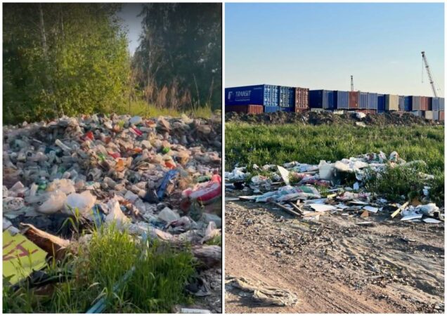 В Новосибирске местные жители рассказали о незаконной свалке вблизи аэропорта