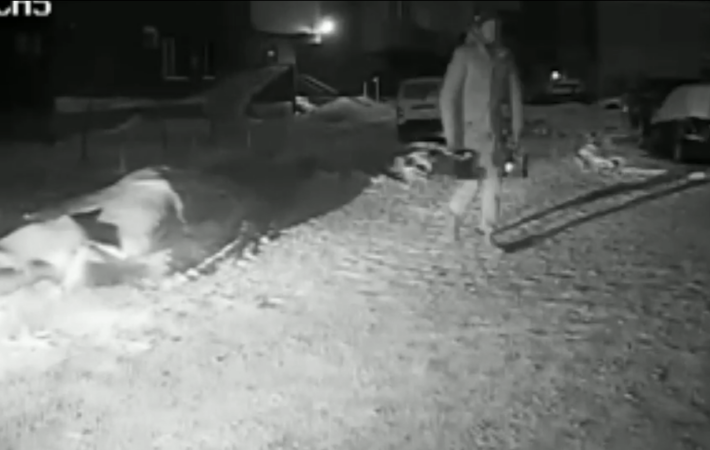 В Новосибирске полицейские задержали серийных похитителей аккумуляторов из автомобилей