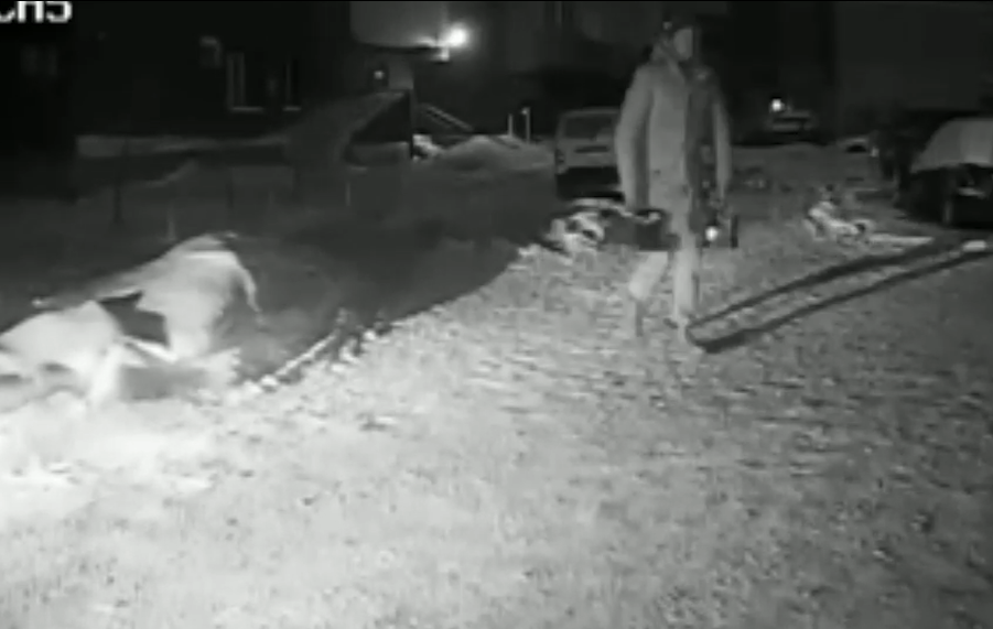 В Новосибирске полицейские задержали серийных похитителей аккумуляторов из автомобилей