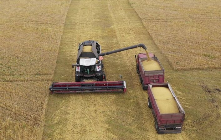 Режим ЧС из-за дождей могут ввести в Новосибирской области