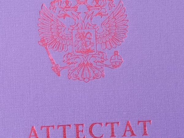 В Новосибирске почти 150 выпускников получили 100 баллов на ЕГЭ