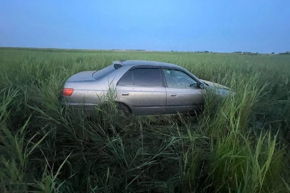 Убил косулю: в Новосибирской области задержали браконьера