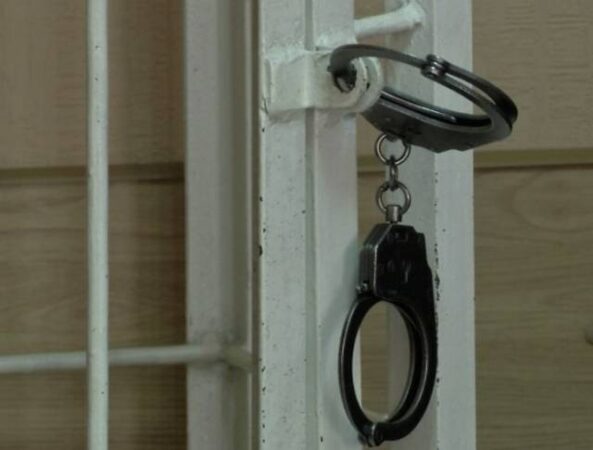 «Пнул и ударил об забор»: под Новосибирском будут судить живодера за убийство кота