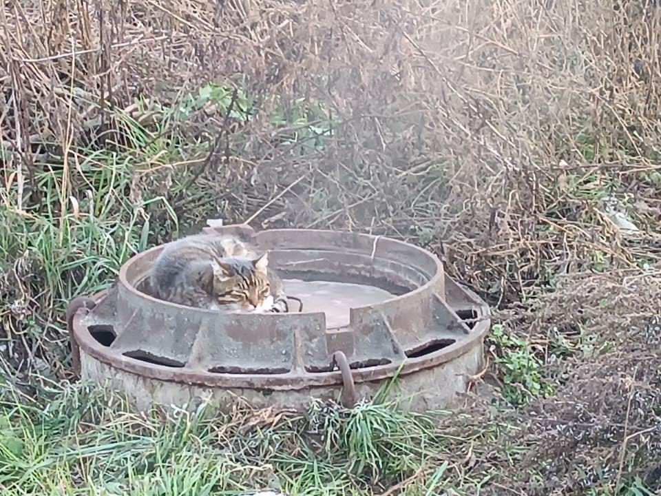 В Новосибирске почти 130 домов остались без отопления