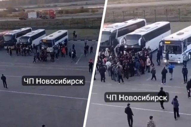 Под Новосибирском мигранты устроили массовую драку