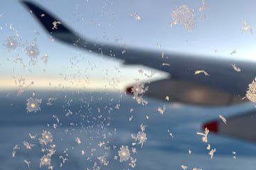 Из-за непогоды в аэропорту Новосибирска застряли 300 пассажиров