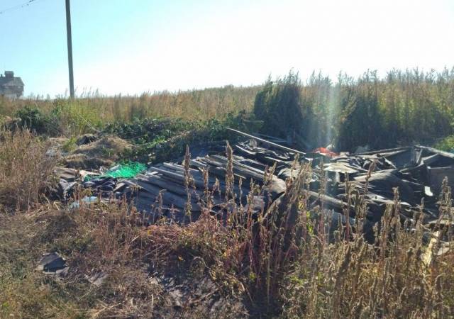 В Новосибирской области прокуроры добились ликвидации незаконной свалки