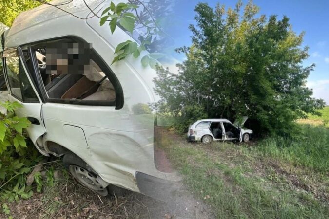 В Новосибирской области водитель «Toyota» погиб после столкновения с деревом