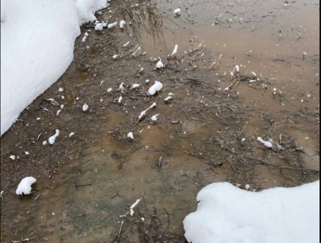 Загрязнение воды и почвы рядом с дачными участками в Кировском районе Новосибирска произошло из-за сброса отходов