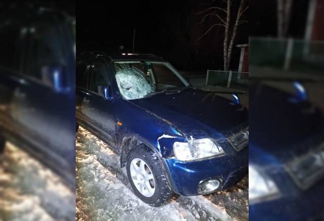 В Новосибирской области иномарка насмерть сбила пешехода