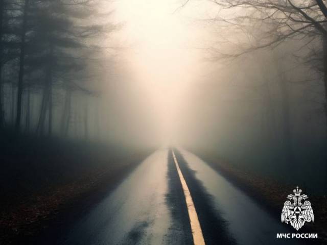 Новосибирцев предупредили о густом тумане на дорогах