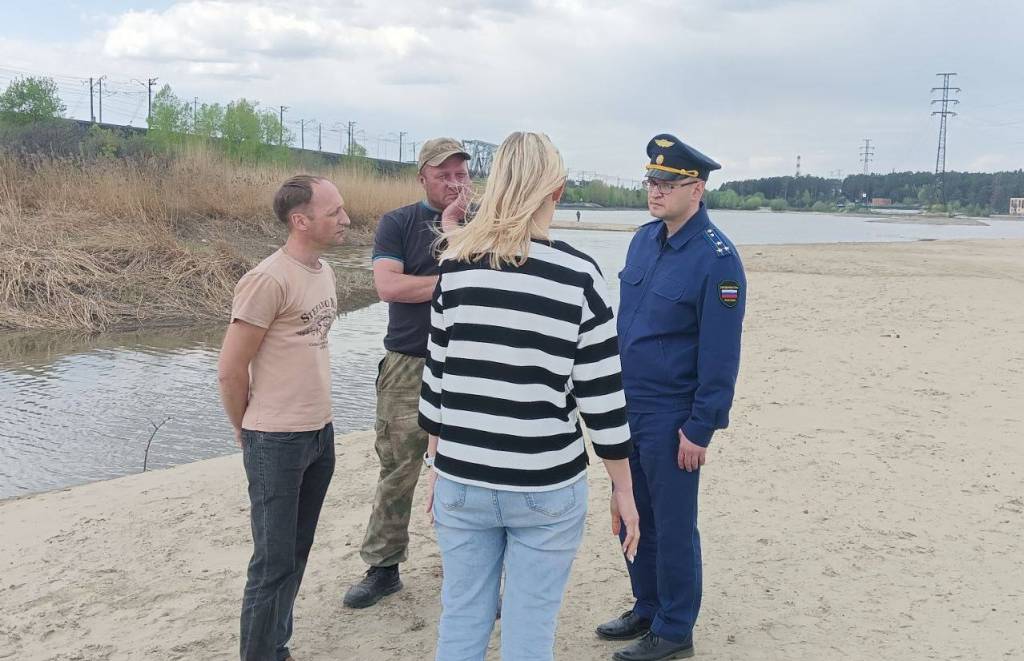 В Новосибирской области прокуратура проверит сообщения о массовой гибели рыбы в Бердском заливе