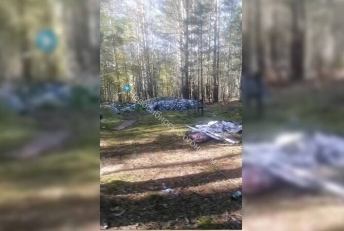 Минприроды Новосибирской области проводит проверку из-за свалки в Караканском бору