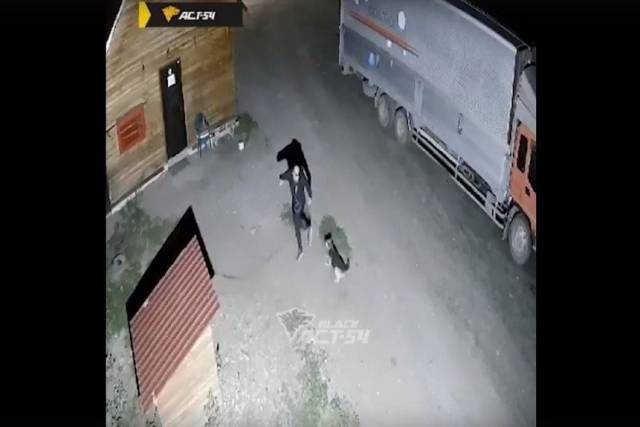 Под Новосибирском живодер жестоко избил привязанную к будке собаку