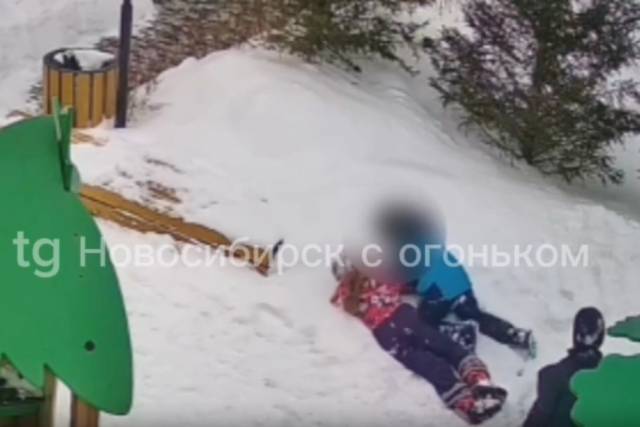 В Новосибирске прокуратура начала проверку после избиения 9-летней девочки