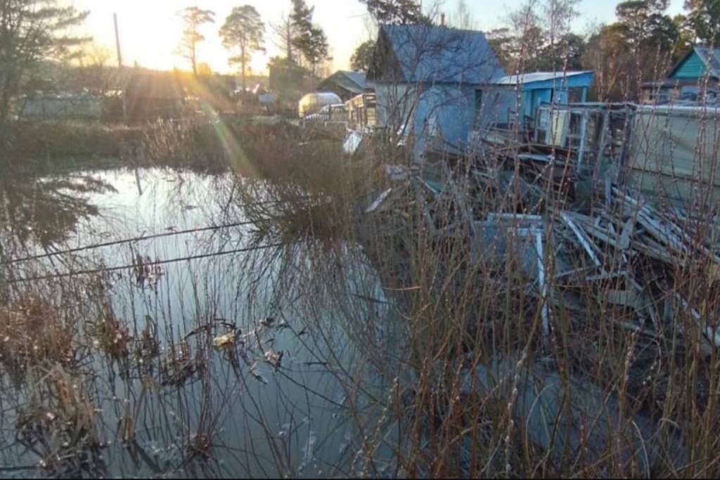 Суд обязал мэрию Новосибирска остановить потоп в Пашино