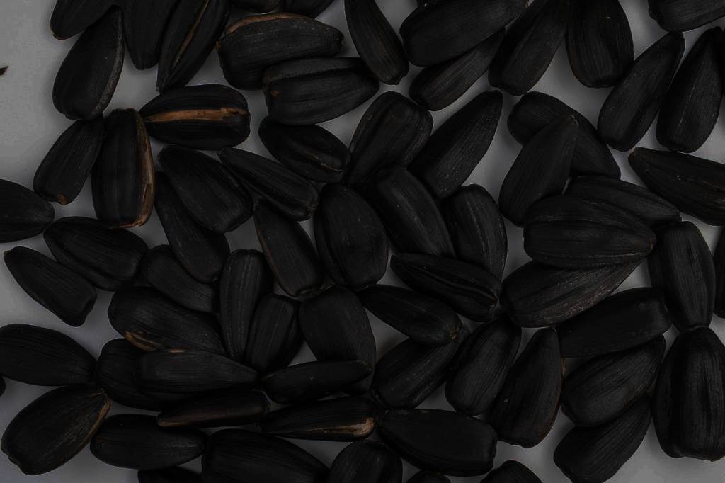 В Новосибирской области прокуратура проведет проверку из-за смерти мужчины в яме с семечками