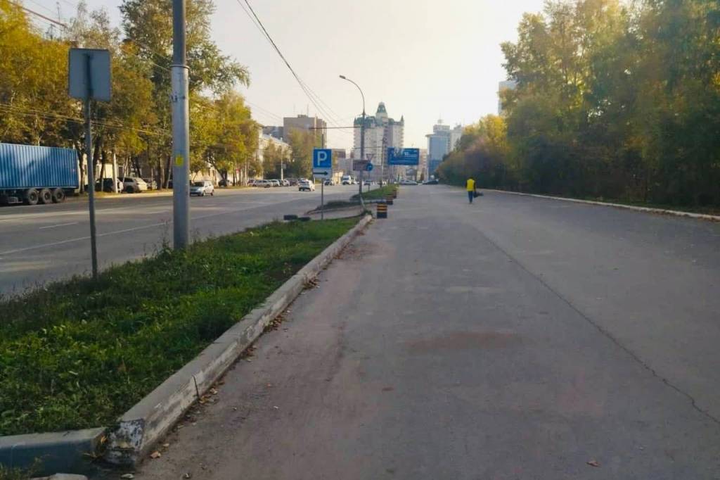 Мэру Новосибирска внесли представление за платную парковку возле зоопарка