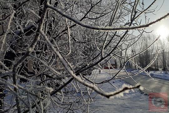 Похолодание до –20 градусов и порывистый ветер ожидаются в Новосибирске