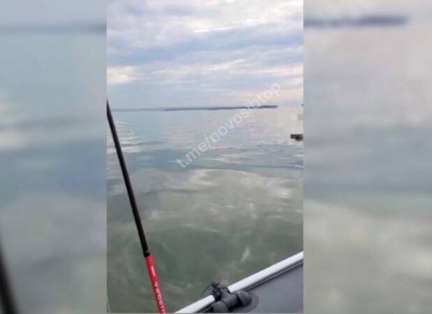 В Обском водохранилище рыбак обнаружил труп мужчины