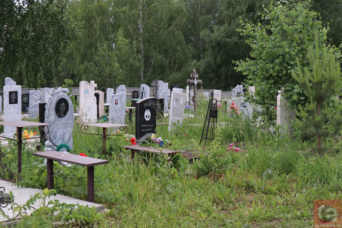 В Новосибирске определили границы скандально известного Южного кладбища