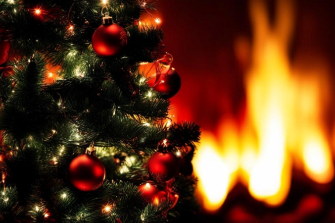 В Новосибирской области произошел пожар из-за гирлянды: погибла девушка