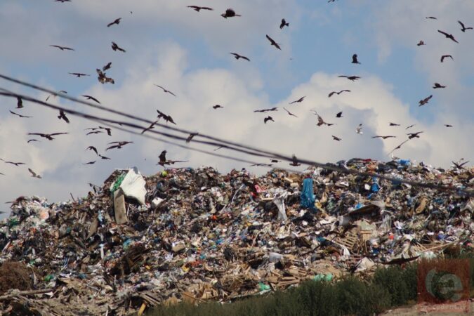 В Новосибирске запустили процесс рекультивации мусорного полигона «Левобережный»