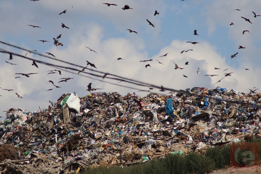 В Новосибирске запустили процесс рекультивации мусорного полигона «Левобережный»
