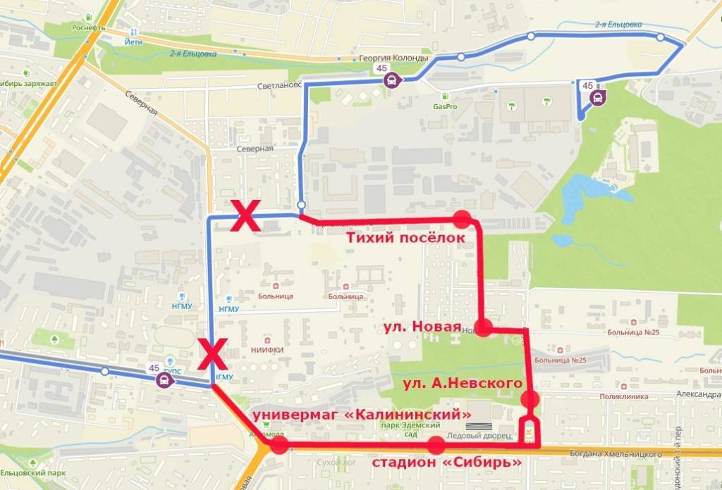 В Новосибирске по поручению мэра запустили маршрутку до Тихого поселка