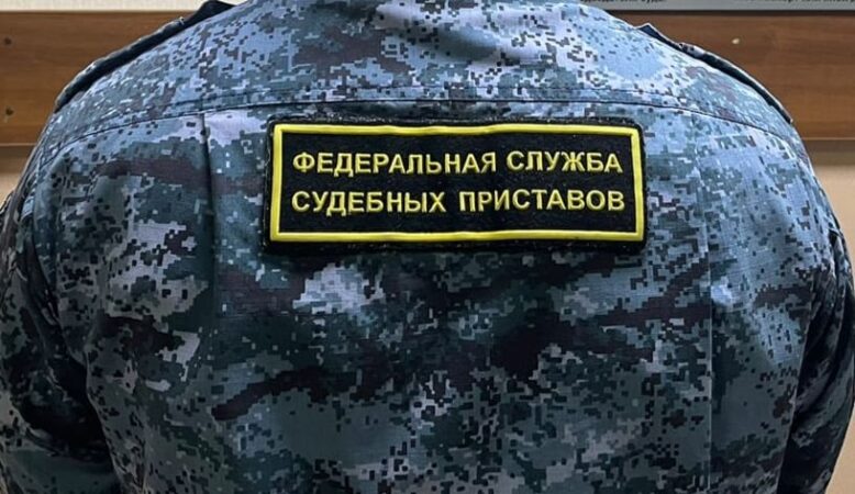 В Новосибирске женщину приговорили к году условно за нападение на приставов в суде