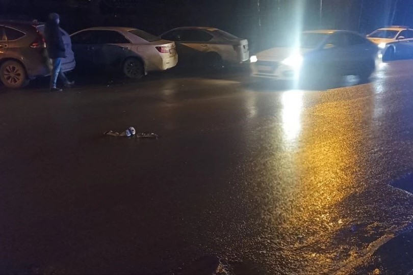 В Новосибирске возбудили дело на сбившего насмерть девушку водителя «Nissan»