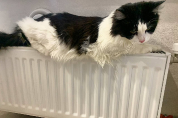 На Лежена в Новосибирске вернули тепло