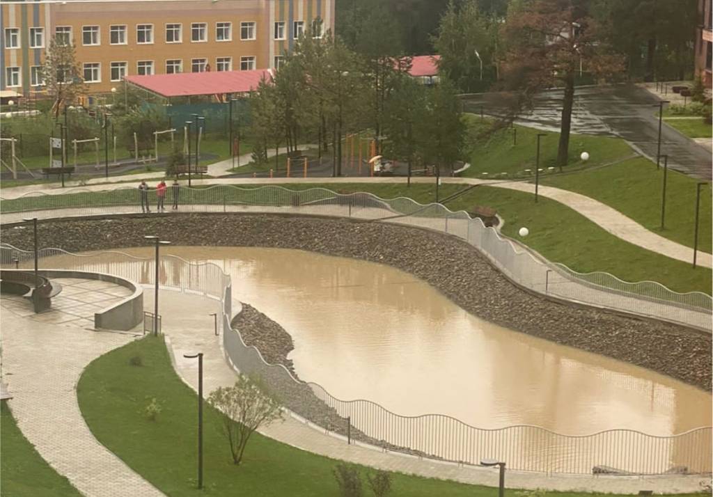 Бастрыкин потребовал возбудить дело из-за загрязнения озера в Стрижах застройщиком