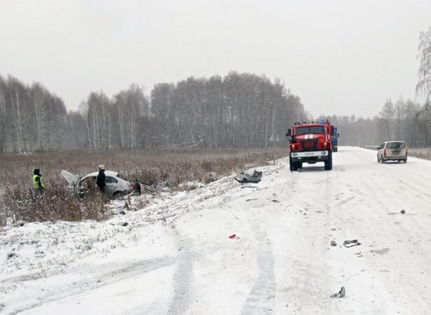На заснеженной трассе под Новосибирском погиб водитель Toyota Corolla