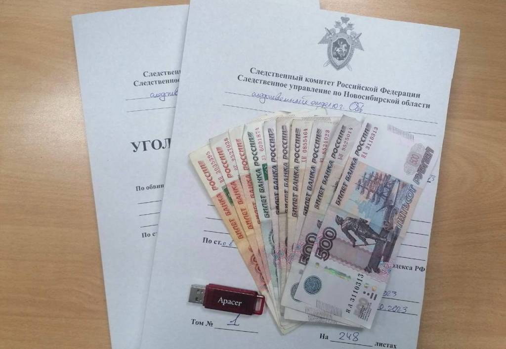 В Новосибирской области бухгалтера будут судить за мошенничество с зарплатой