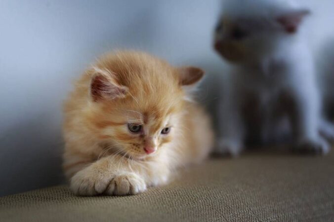 Гороскоп на 12 сентября для всех знаков Зодиака