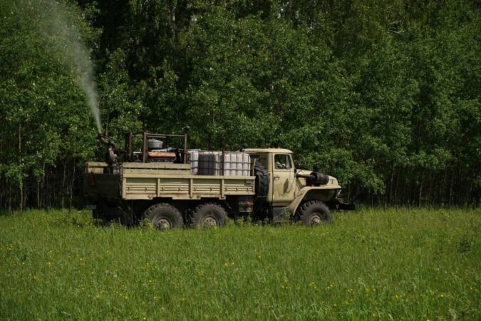 В Новосибирской области начали обработку лесов от непарного шелкопряда