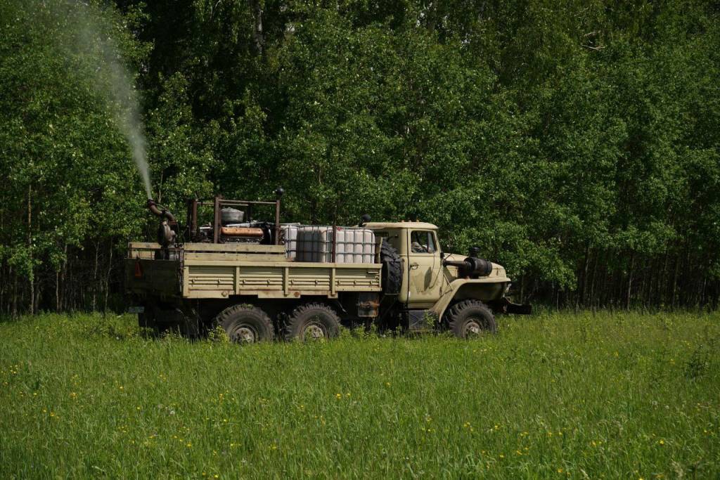 В Новосибирской области начали обработку лесов от непарного шелкопряда