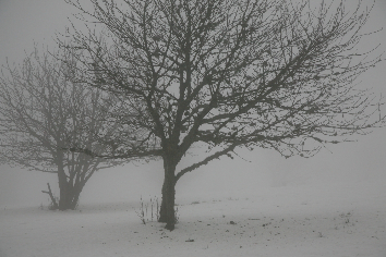 Шторм надвигается на Новосибирскую область
