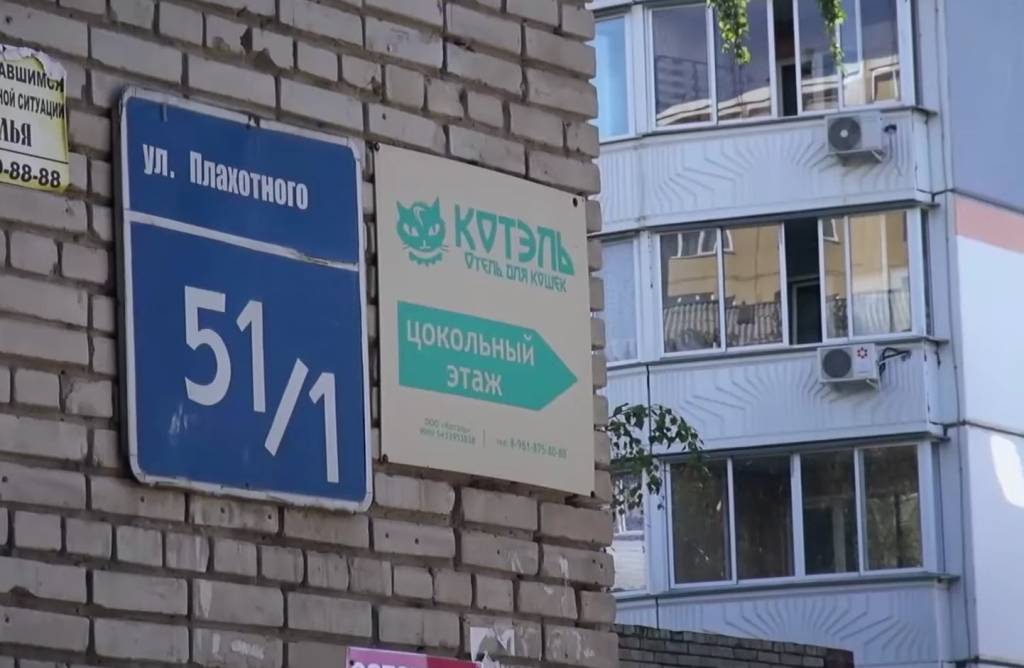 Жители пятиэтажки в Новосибирске не могут найти управу на соседа-собачника