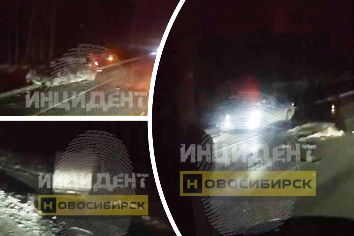 Массовое ДТП с участием лося произошло под Новосибирском