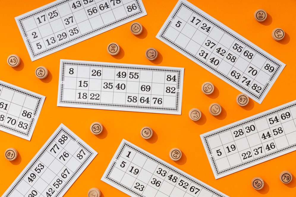 Женщина из Новосибирской области выиграла в лотерею 28