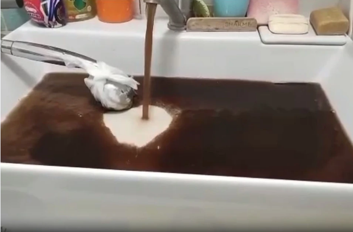 Жители Новосибирской области рассказали о грязной воде