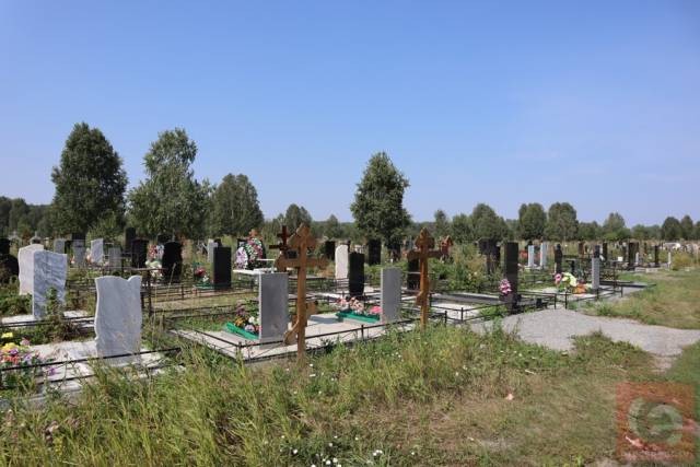 В Новосибирской области в мае смертность почти на треть превысила рождаемость