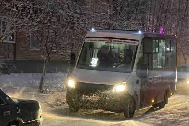 «Это просто затыкание дыры»: жители Тихого поселка Новосибирска недовольны решением проблемы с транспортом