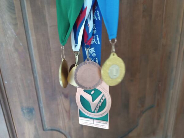 В Новосибирске рассказали о новых правилах выдачи школьных медалей