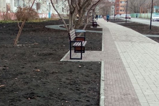 В Новосибирске в сквере «Радуга» растения высадят только в 2024 году