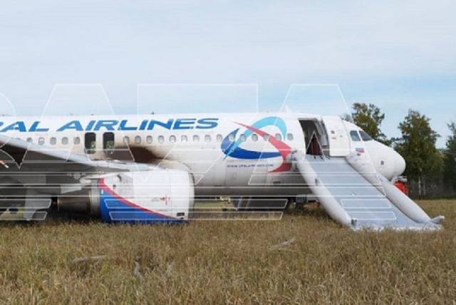 МЧС открыло горячую линию после посадки самолета в поле под Новосибирском