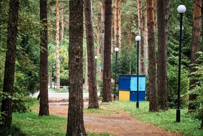 В Новосибирске профилакторий НЗХК в Сосновом бору перестроят в частный медцентр