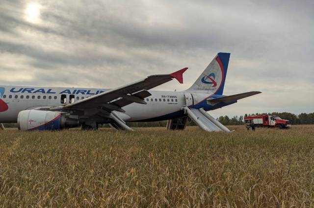 Супруга посадившего самолет в поле под Новосибирском пилота обратилась к Владимиру Путину